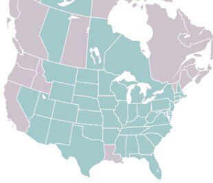 Coleothorpa dominicana range map