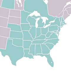 Eugnamptus angustatus range map