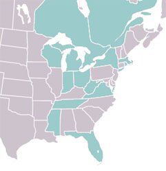 Saperda imitans range map