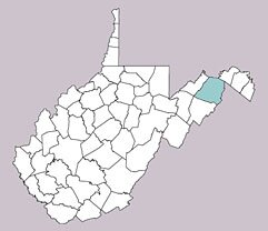 Brachys aeruginosus range map, West Virginia