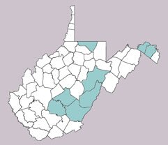 Calligrapha spiraeae range map, West Virginia