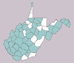 Cerotoma trifurcata range map, West Virginia