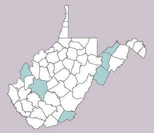 Coleothorpa dominicana range map, West Virginia