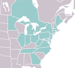 Chrysopilus thoracicus range map