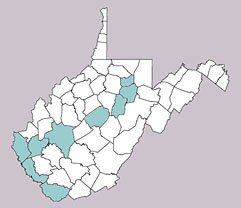 Tylozygus geometricus range map, West Virginia