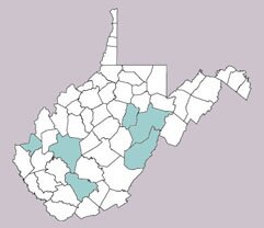 Chauliodes pectinicornis range map, West Virginia