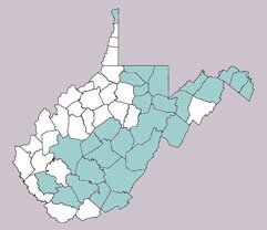 Negronia serricornis range map, West Virginia