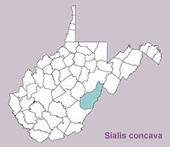 Sialis concava range map, West Virginia