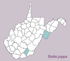 Sialis joppa range map, West Virginia